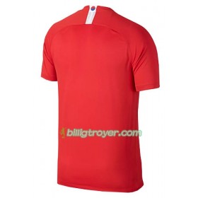 Billige Fotballdrakter Sør-Korea Hjemmedraktsett VM - Kvinner 2019 Kortermet